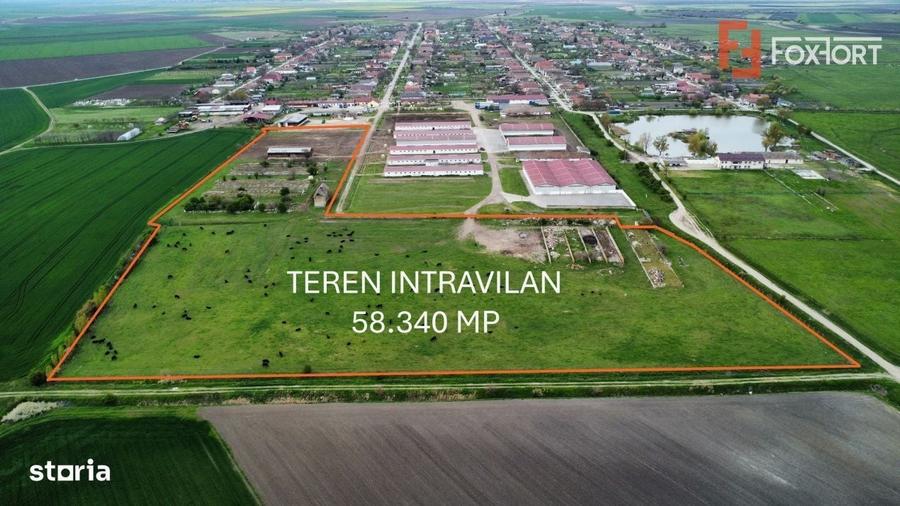 Spațiu comercial, în Peciu Nou