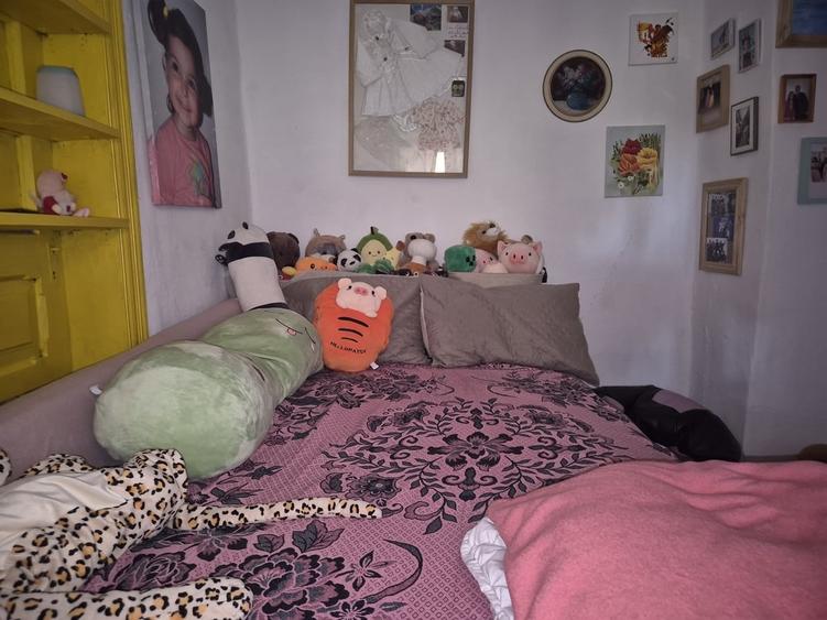 Casă cu 9 camere cu Teren 427 Mp în Central