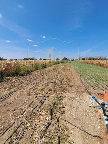 Teren agricol intravilan de 2470 mp, în Copăceni