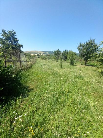 Casă individuală cu 2 camere cu Teren 2377 Mp în Benic