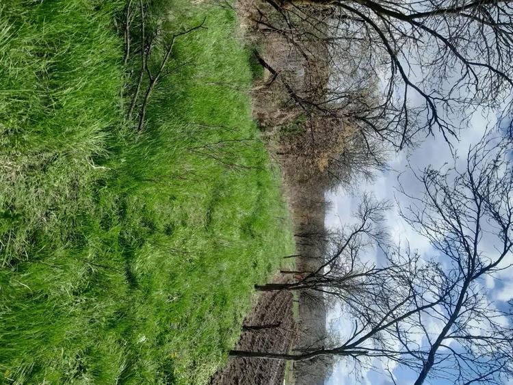 Teren de 2360 mp, în Vaidei
