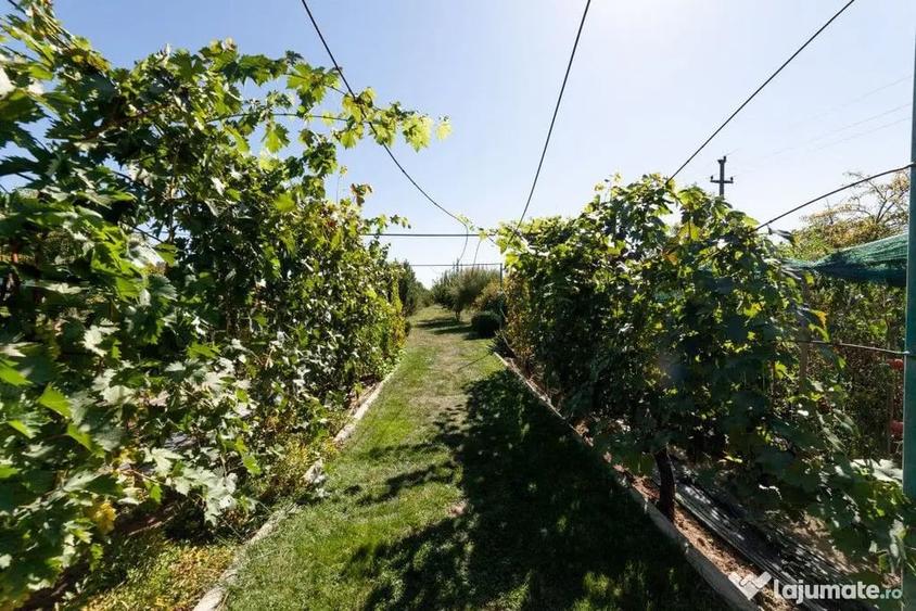 Casa visurilor cu 4000 mp livada roditoare si gradina Dar... - 1