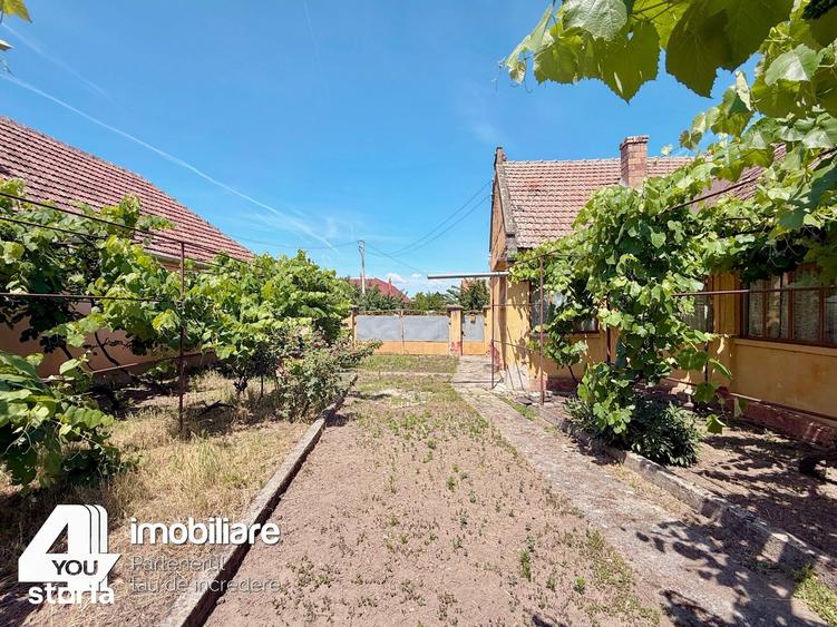 Casă cu 4 camere cu Teren 1459 Mp în Secusigiu