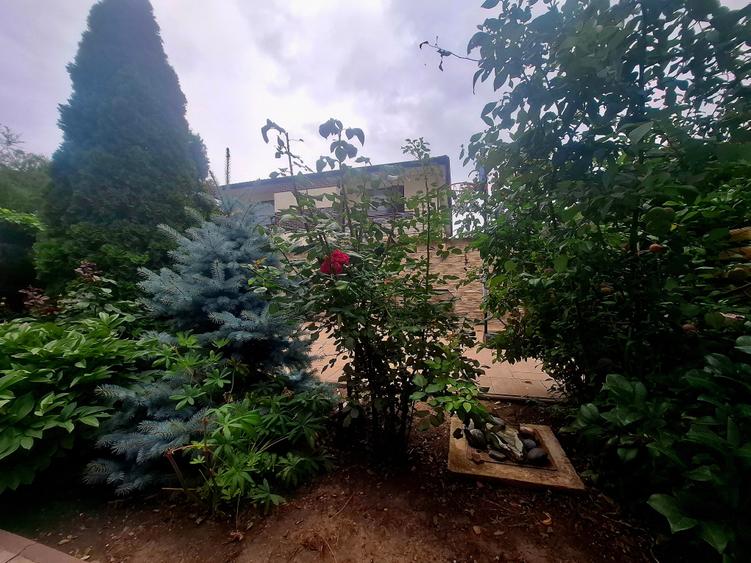 Duplex cu 4 camere cu Canalizare în Alexandriei
