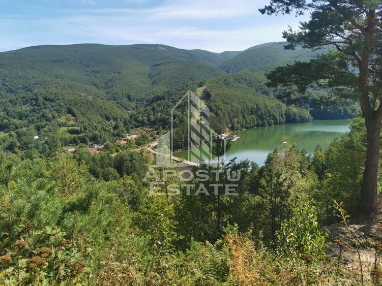 Teren Construcții intravilan de 2000 mp, în Văliug