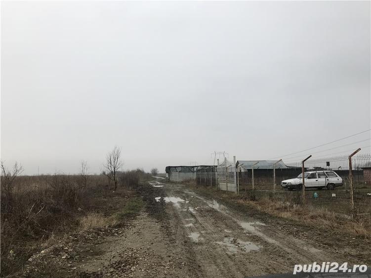 Teren de 10000 mp, în Butimanu