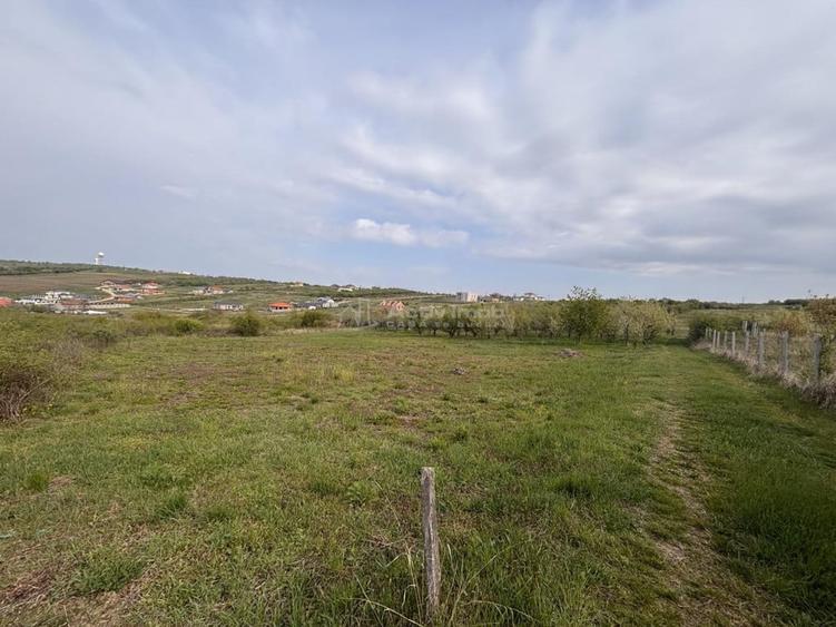 Teren de 793 mp, în Paleu
