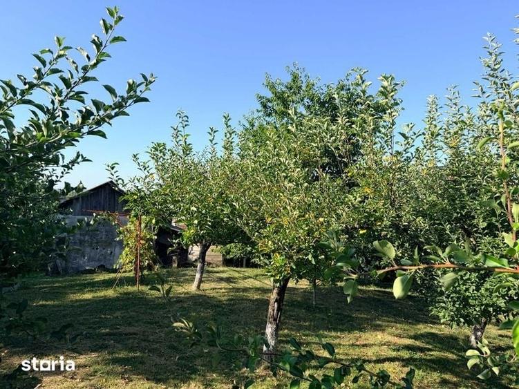 Casă cu 2 camere cu Teren 100 Mp în Udești