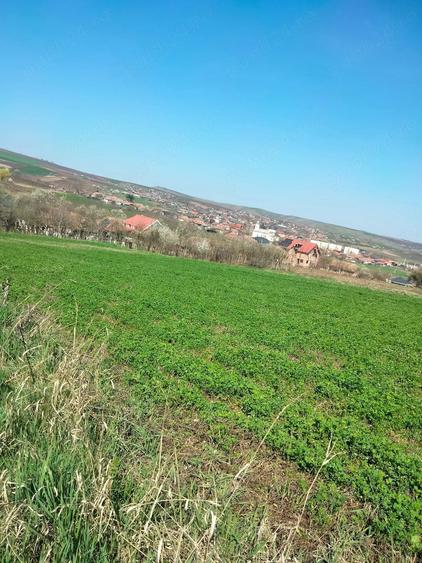Teren de 3300 mp, în Râciu