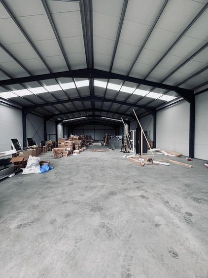 Spațiu industrial, de 596 mp, în Dumbrăvița
