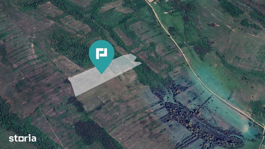 Teren arabil de 11,3 hectare in Bara, Timi? - 2