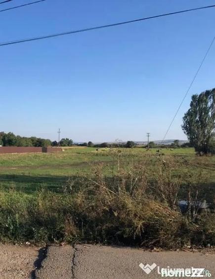 Teren de 12200 mp, în Rădăuți