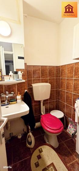 Apartament cu 3 camere decomandat în Intim