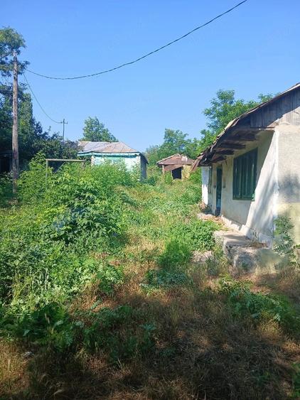 Teren de 2100 mp, în Măcișeni