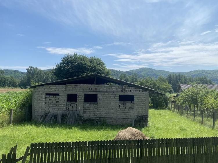 Casă cu 4 camere în Băjești