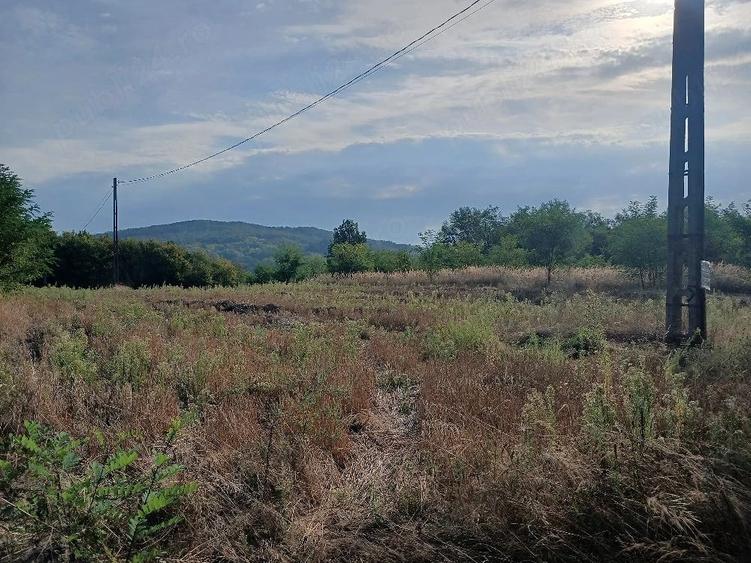 Teren de 6000 mp, în Budești