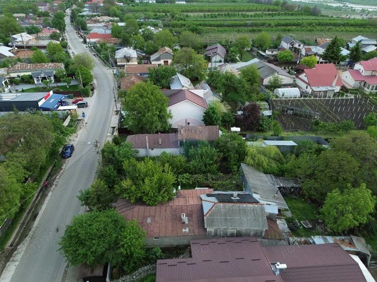 Casa cu teren Tifesti / Sarbi - 3