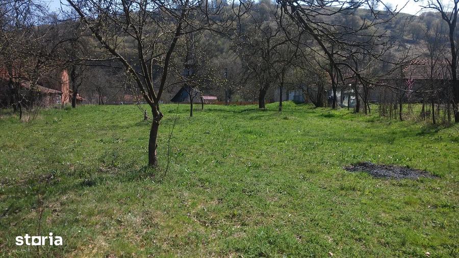 Teren de 2219 mp, în Lăpugiu de Jos