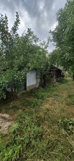 Casă cu 3 camere în Răsuceni