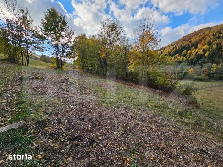 Teren de 2710 mp, în Vidra
