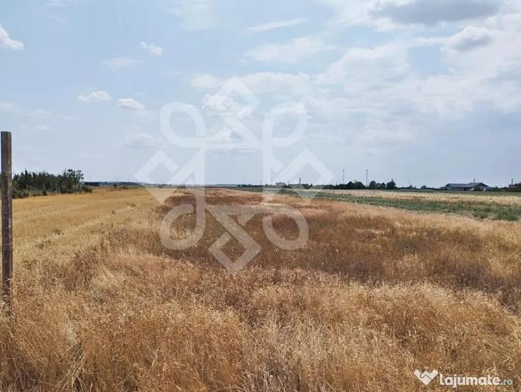 Teren intravilan de vanzare, 3000 mp in Gepiu, Bihor - 4