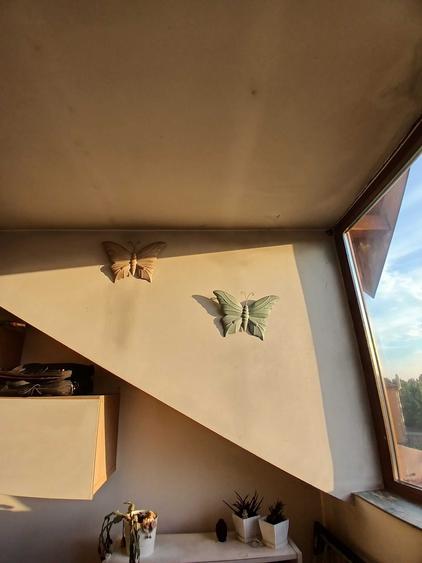Apartament cu 2 camere semidecomandat în Snagov