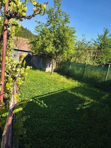 Casă cu 3 camere în Porumbeni