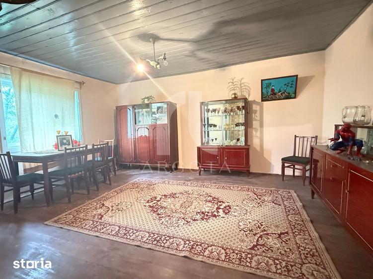 Casă cu 4 camere cu Teren 4075 Mp în Cotu Ciorii