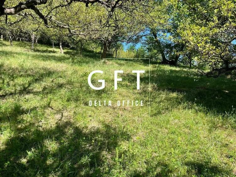 Teren intravilan 650- 669 mp de vanzare Strada Dambului Bistrita - 2