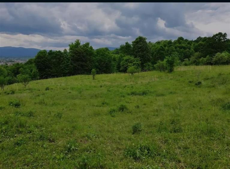 TEREN DE VANZARE PENTRU INVESTITII IN MANASTIREA CASIN - 4