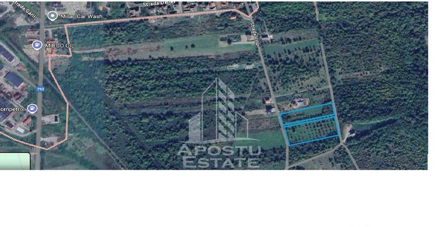 Teren Construibil - Sebis - 3