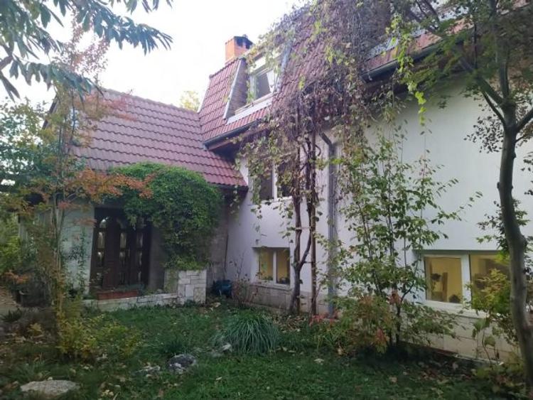 Vând casa cu curte, com Berceni Ilfov  - 1