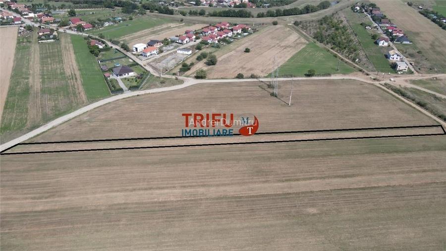 Teren intravilan cu apa si canalizare posibilitate de extindere Teren intravilan cu apa si canalizare posibilitate de extindere