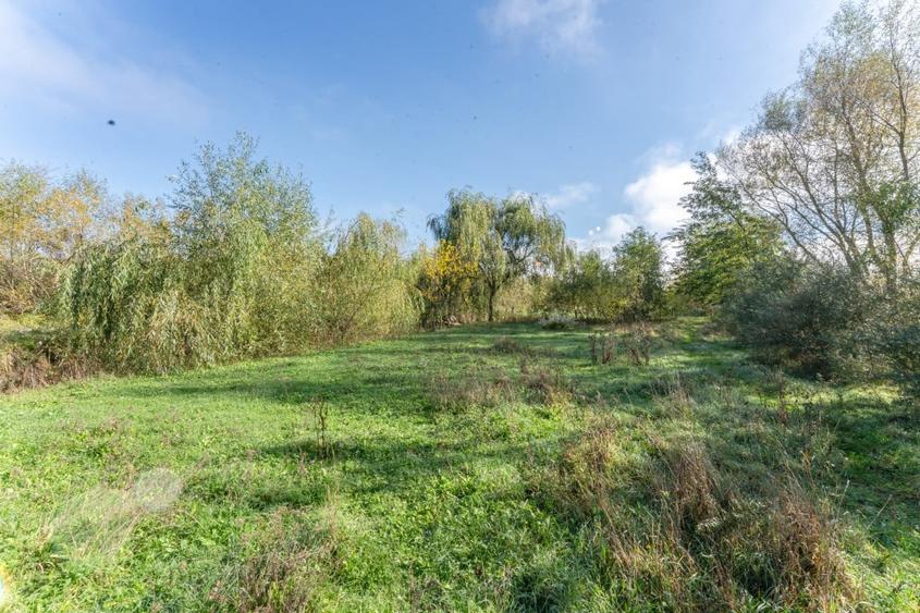 Proprietate rara in Covasna - liniste, spatiu si potential de investitie - 37