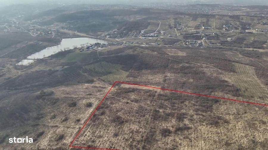 Teren Saldabagiu de Munte cu vedere spre lac - 1