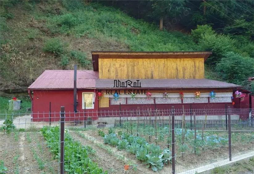 Casa renovata cu acces usor, langa padure - 2