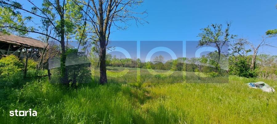 Casă cu 3 camere cu Teren 3000 Mp în Ciolănești