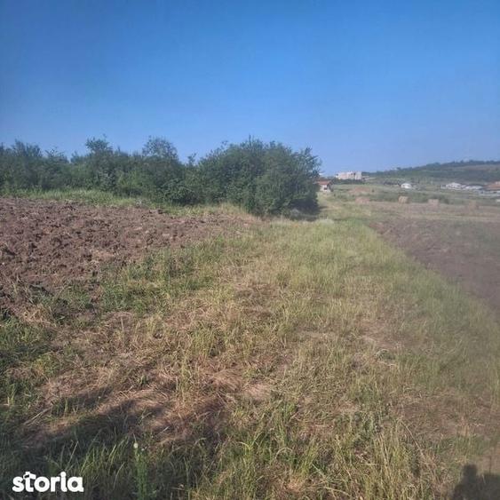 Teren Intravilan Oradea 1000 m2 Zona Nicolae Beldiceanu - 3