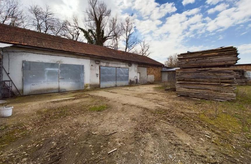 Fabrica prelucrare lemn de vanzare – Lipova, Arad - 9