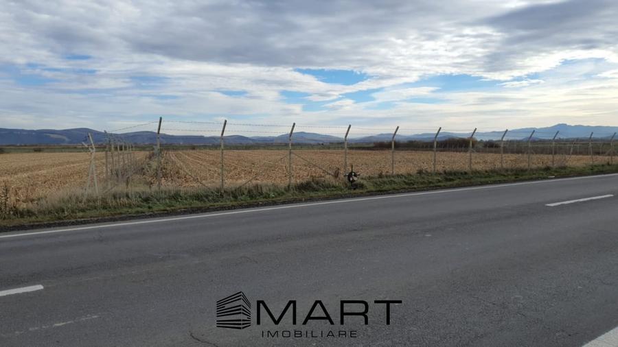 Teren intravilan Calea Feldioarei - 2