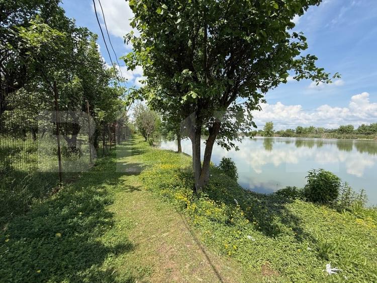 Teren Construcții intravilan de 37620 mp, în Vetiș