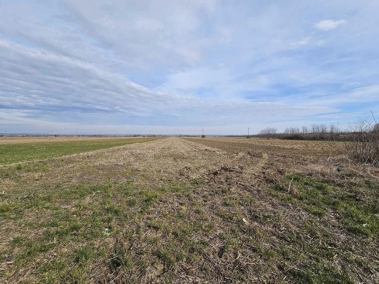 Teren intravilan de vanzare in Potlogeni Vale la 6 km de Oras Gaesti - 8