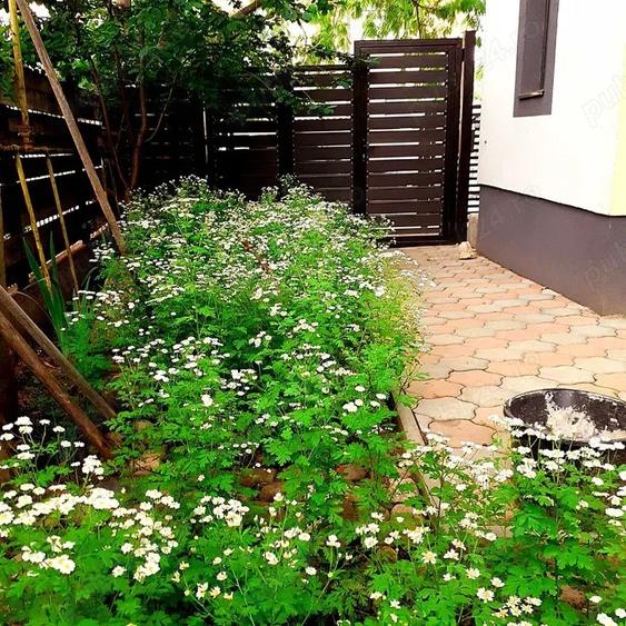 Casa P+1 zona centrala teren 365mp Pret: 205.000 neg. - 1