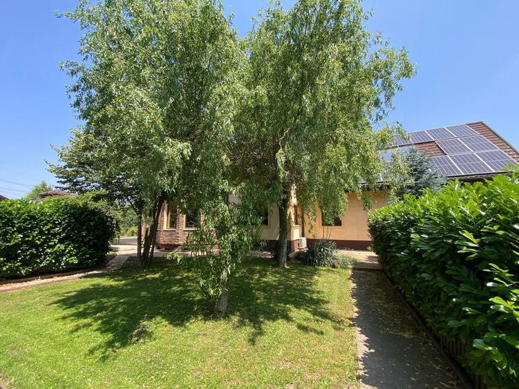 Vilă cu 8 camere, amplasament ultracentral-Dumbrăvița - 3