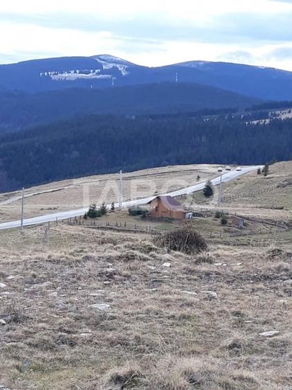 De vanzare teren extravilan 3854 mp acces auto Paltinis Sibiu - 4