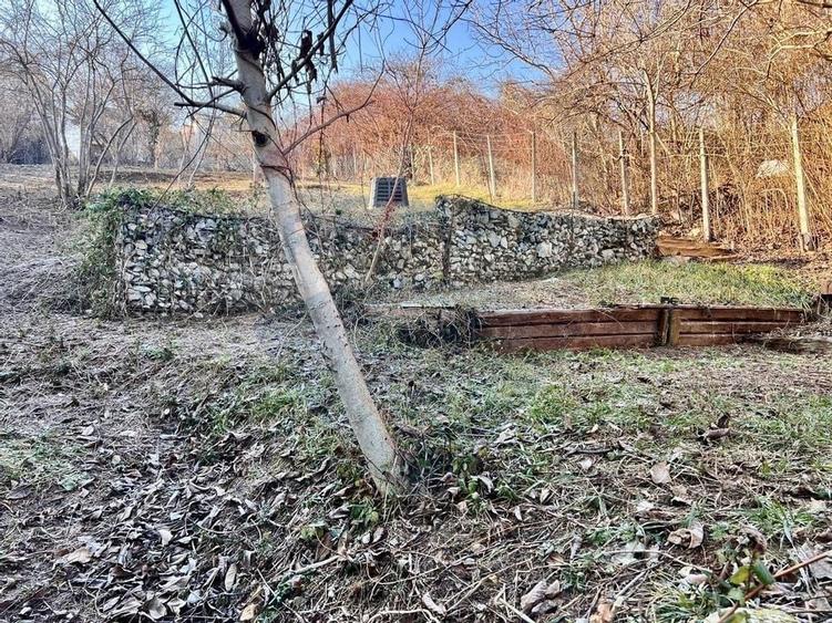 Spatiu de birouri de inchiriat - la casa cu 4 apartamente pe Racovita - 35