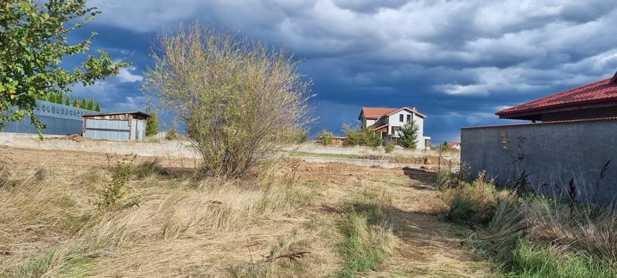 Lot Compact - Pretabil Lotizare - Dezvoltare proiect Vile - 6