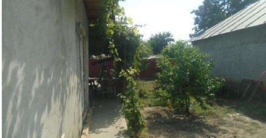 Casa si teren cota parte 1/2, Gropeni, ID: R2733382 - 9