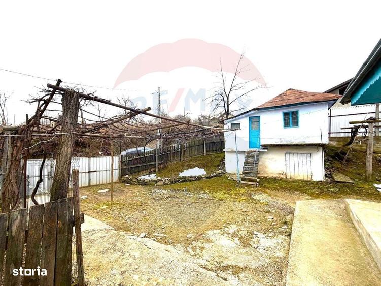 Casa 3 camere de vanzare Garleni, sat Lespezi, Str. Frunzei - 2
