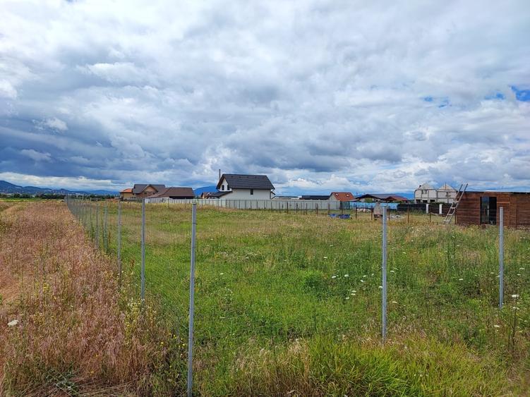 581 mp Teren Intravilan Valea cu Flori - 1